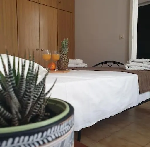 Family & Friends Maisonette In The Center Of Apartmán Lixouri